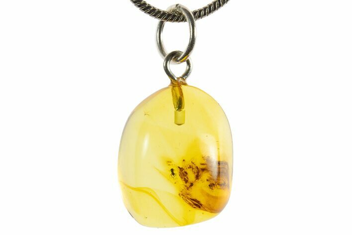 Polished Baltic Amber Pendant (Necklace) - Contains Fly! #339567